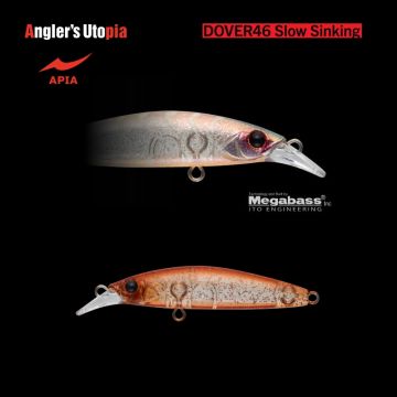 12 Krill 