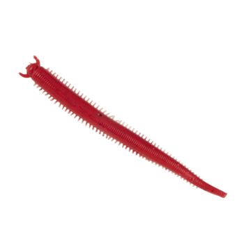Berkley Hollow Sand Worm férgek, Red Belly Shrimp, 10cm, 10db/csomag