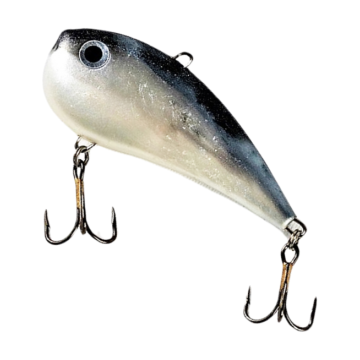 Cicada Vida Slim, Culoare CB, 6cm, 18g