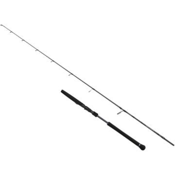 Lanseta Light Jigging SAVAGE GEAR Defiance SG2, 1.80m, 0–80g, 1+1