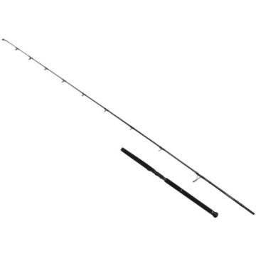Savage Gear SG2 Defiance Pelagic Offshore Casting bot, 2,56 m, 70–200 g, 1+1