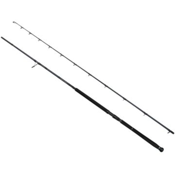 Lanseta Savage Gear Shore Jigging Defiance SG2, 2.90m, 15–60g, 2buc
