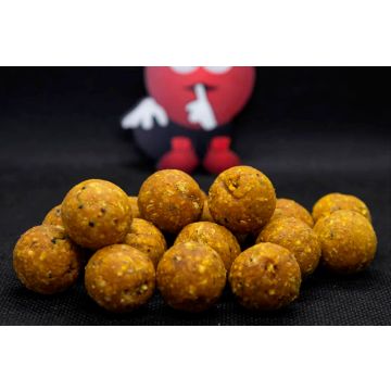 Boilies Solubile Dudi Bait, Tigernuts & Amur, 1kg