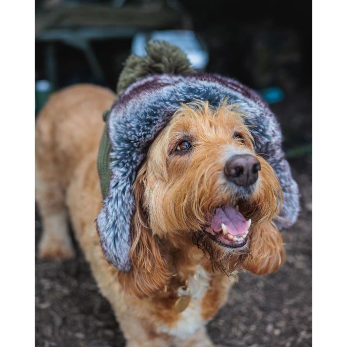 Caciula Fox Trapper Hat Green 3