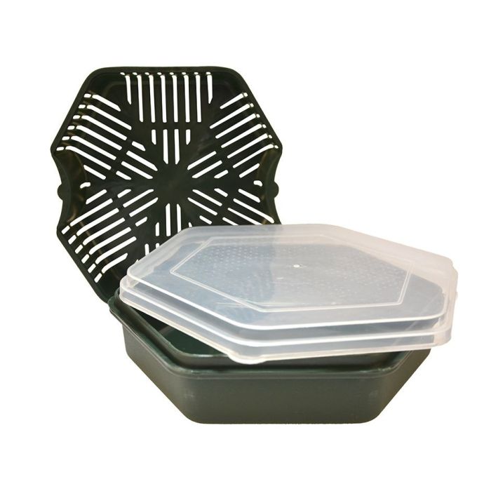 Cutie Momeli Carp Expert Practic Bait Box, 1L
