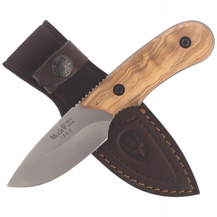 Cutit de Jupuit Muela IBEX-8.OL, MoVa Steel, Olivewood + Teaca Piele 3