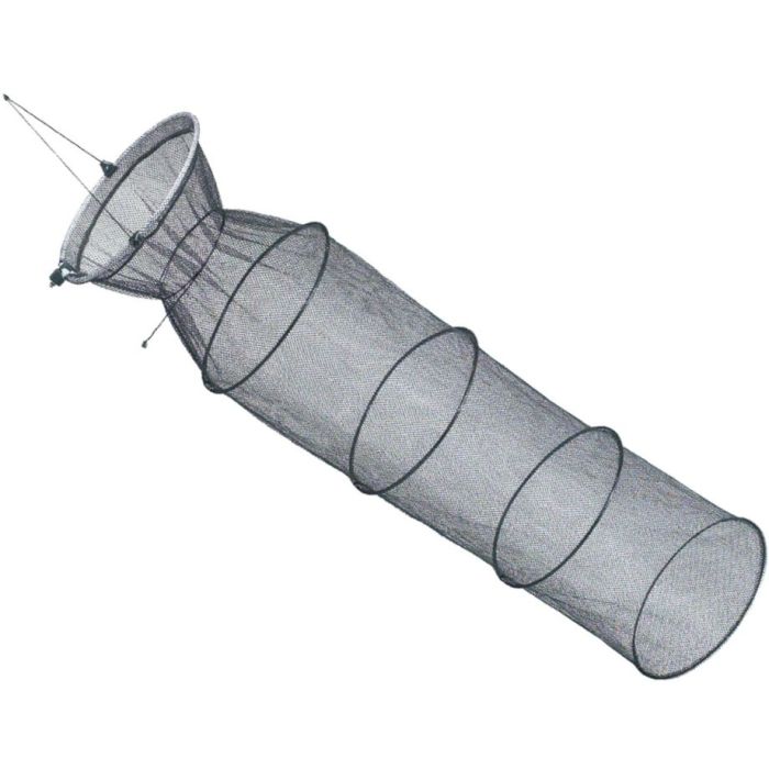 Juvelnic Jaxon Medium 6mm