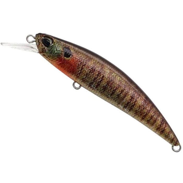 Wobbler DUO Spearhead Ryuki 80S, CCC3357 True Gill, 8cm, 12g