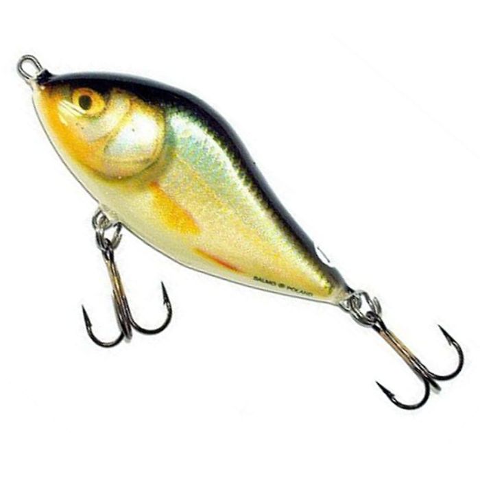 Vobler Salmo Slider Floating SD10F, Culoare RR, 10cm, 36g